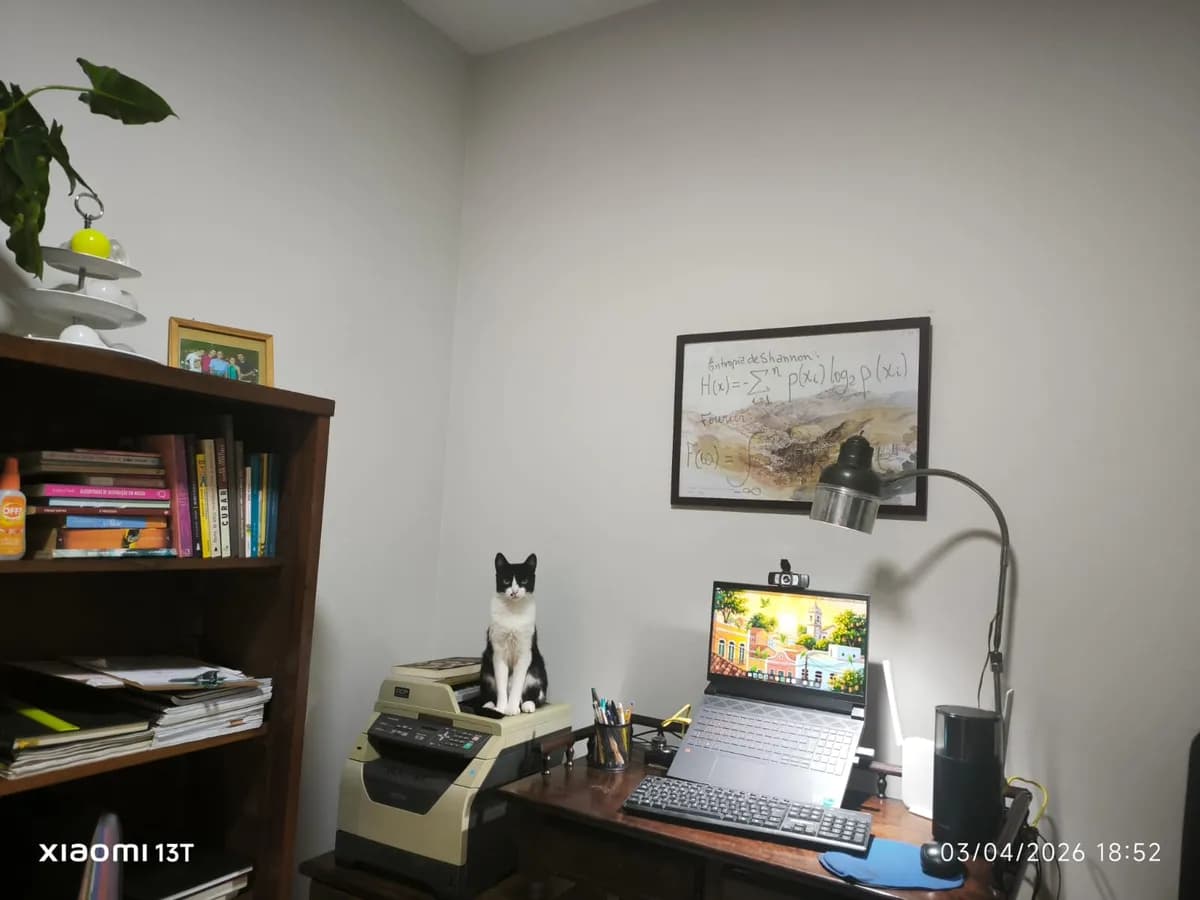Escritório Neural Thinkers Lab em Minas Gerais — pintura no estilo Tarsila do Amaral com gato, livros e fórmulas de Shannon — foto real