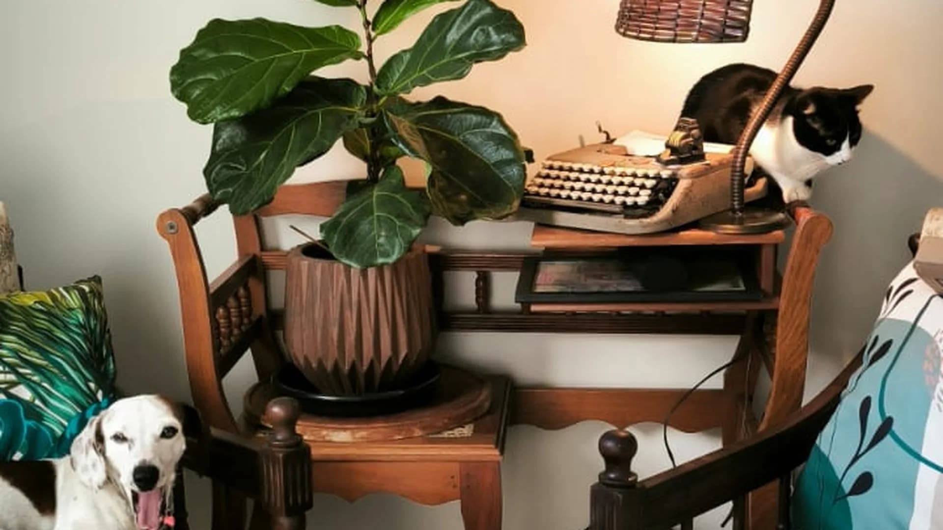 O ateliê com os pets — releitura artística — foto real